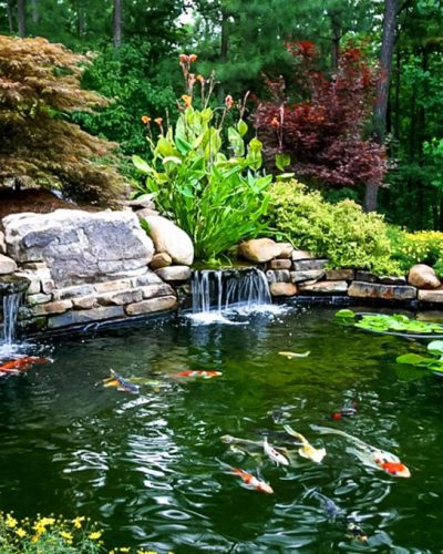 Garden Construction Fish Pond Ideas-1