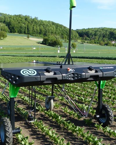 The Function And Use Of The Weeder